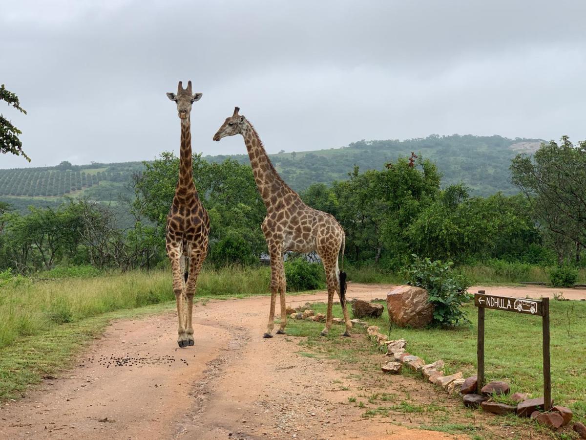 Ndhula Luxury Tented Lodge White River Exteriér fotografie