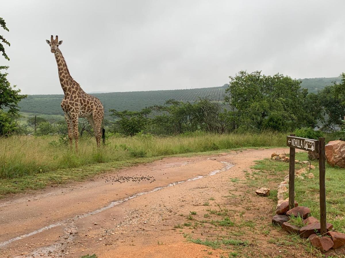 Ndhula Luxury Tented Lodge White River Exteriér fotografie