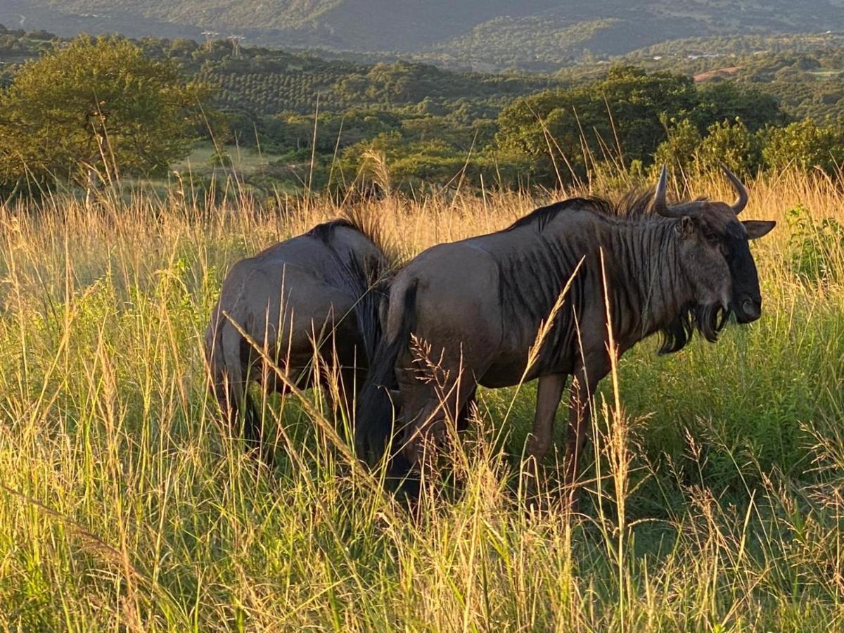 Ndhula Luxury Tented Lodge White River Exteriér fotografie